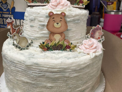 Cake (6)