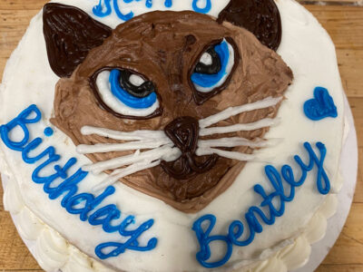 Cake (8)
